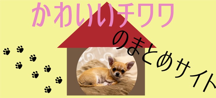 cook 今日なに作ろ？